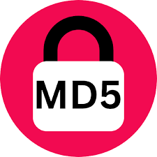 MD5 Hash Icon